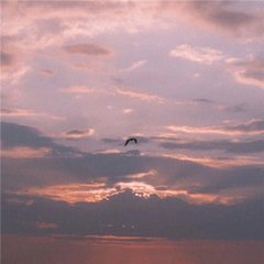 皇上我错了电视宝宝